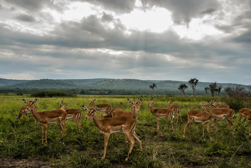 4x4-Kenya African road trip adventure in Rwanda